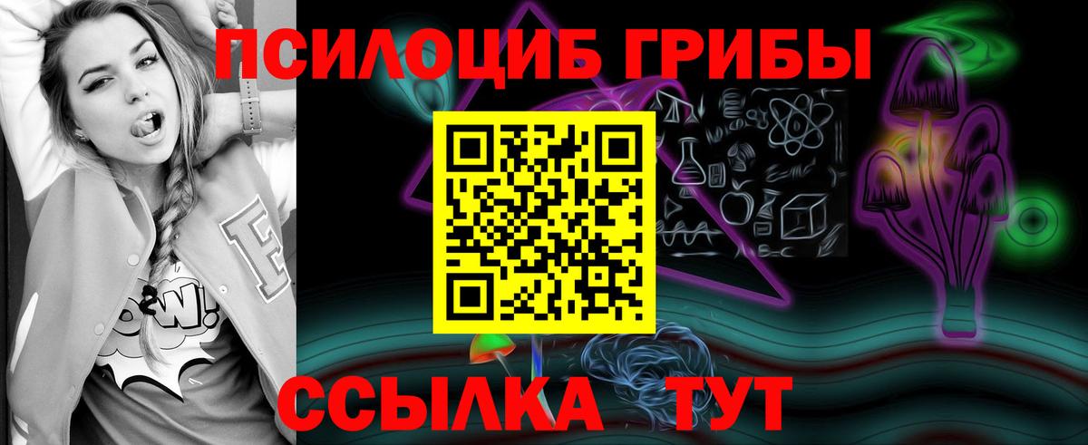 Мичуринск  Псилоцибиновые грибы мицелий  Вход с VPN 
